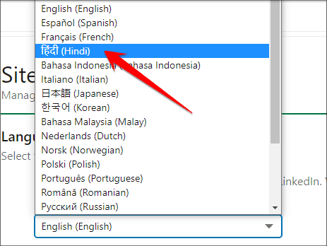 Language Dropdown Option